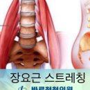 강서정형외과의원 이미지