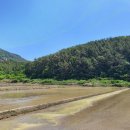 한려공인행정사사무소 이미지