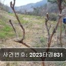 구산면550 이미지