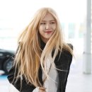 예쁨 - 세종특별자치시 | 예쁨