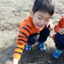 가용농장 이미지