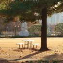 고씨네 주식회사 네이버블로그
