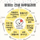 견생유치원 이미지