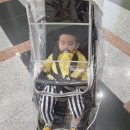 유모차방방 이미지