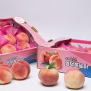 남산1리마을회관 이미지