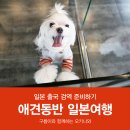 왈가왈부애견 | 강아지 해외여행 :: 로잔동물병원 첫 번째 방문, 애견동반 해외여행 준비하기