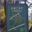 [4월 1일(수요일)]응봉산공원 개나리 트래킹 이미지