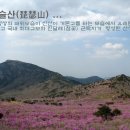 대구 비슬산 천왕봉(1083.6m) 산행 안내합니다. 2026-04-11 이미지