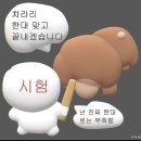 웅천메가박스영화관 부터 웅천동물병원 | 6월 (한살 젊어지는 달)