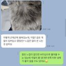소나캣 이미지