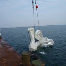 추진목장 이미지