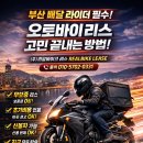 돈리스