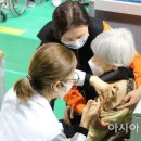 도봉-도봉-서울도봉-2317 이미지