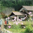 시골여행 | 화려함 대신 여유를 택한 일본 시골 여행 후기