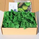 케이그린(주) 이미지