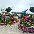 우정문화마을A | 2026울산수국축제 장생포 고래문화마을 주차정보