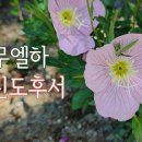 24. 9. 14(토) 사무엘하 10장, 고린도후서 3장 이미지