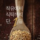 단푸드 이미지