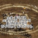 홀리선데이