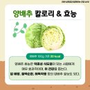 라반휘트니스 성포점 이미지