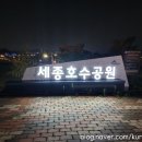 보람동_금강보행교 남측(우) | 세종 야경 명소 추천 BEST 3 밤 산책 드라이브 코스 후기