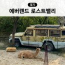에버랜드 로스트밸리 리버트레일 예약방법 비교 자리 명당 현장줄서기