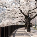 잠원 검도관 이미지