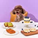 애니콩 주식회사 농업회사법인 이미지