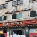 강서구자원봉사센터 | 유기 동물 구조 및 입양센터 팅커벨 프로젝트 첫 자원봉사 후기 🐶🐾