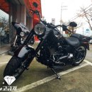 팀 팻보이 이미지