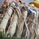 금산인삼쇼핑센타 이미지