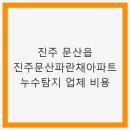 진주문산파란채아파트 | 진주 문산읍 진주문산파란채아파트 누수탐지 업체 비용과 선택 가이드