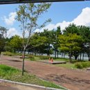 배알도수변공원(1-캠핑장) 이미지