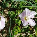 화원농장1 이미지