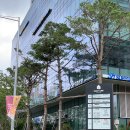 블래스유 | 노원두피관리 가르마 두피케어 탈모전문 블래스유smp 창동