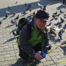 대공원입구로 이미지