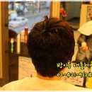 애플헤어 네이버블로그