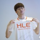 바이퍼 이미지