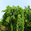 삼풍가든 이미지