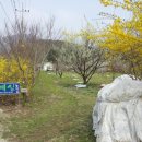 양동농장 이미지