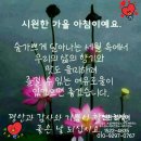 순천-06호 | #광주광역시 #광주 #전남 #나주 #순천 #여수 #광양 #목포 #청소전문업체 #친환경케어