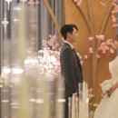 (주)온더가든 | 온더데이스냅 포레스트필름 본식스냅 본식영상 촬영 청주 아르떼웨딩홀 퀸즈가든홀 후기