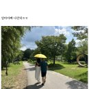 임실 가족여행, 옥정호 전망대 출렁다리 붕어섬생태공원