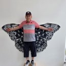 샘재골송이마을 | (260716)경수산악회 남원산내면 지리산뱀사골신선길 트레킹
