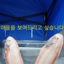 군산박대삼촌 이미지