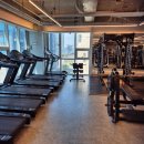 매드볼릭 휘트니스 이미지