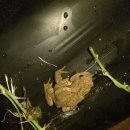 주빈농장 이미지