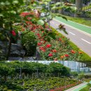 동일로163길 (18) 이미지