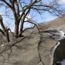 백운사 경내 이미지