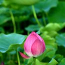 기림민박 | 1. 용연폭포 [龍淵瀑布]